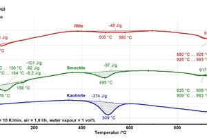  »12: DSC-Kurven und Reaktionsenthalpien eines kaolinitischen, illitischen und smectitischen Tones, ohne (links) und mit 81 V.-% Wasserdampf (rechts), Heizrate 10 K/min 